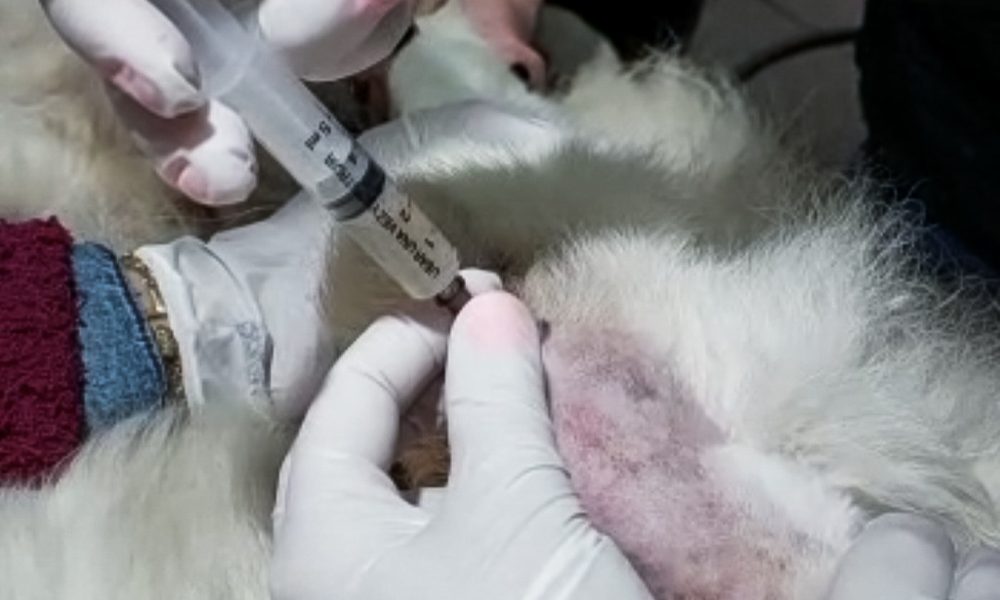 Screenshot_20221108-142626_WhatsApp